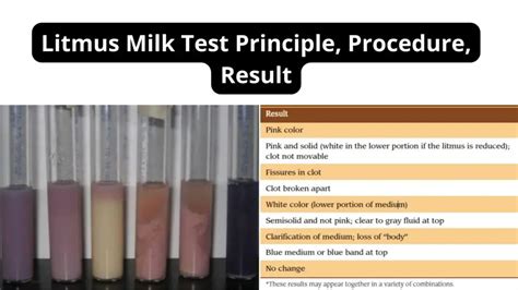 Litmus milk test procedure, result, purpose in .